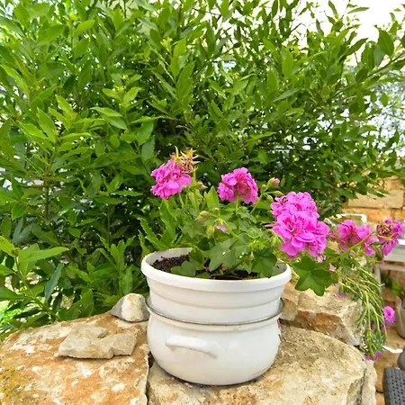 Apartment Fuer 5 Personen Ca 45 Qm In Galizana, Istrien Istrische Riviera *